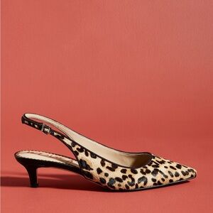 Sam Edelman Ludlow Kitten Heel Slingback